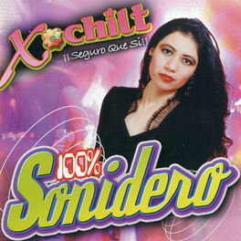 Album cover of 100% Sonidero
