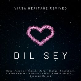 Album cover of Dil Sey