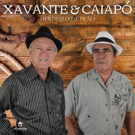 Xavante & Caiapó - Violeiro Cem por Cento: lyrics and songs