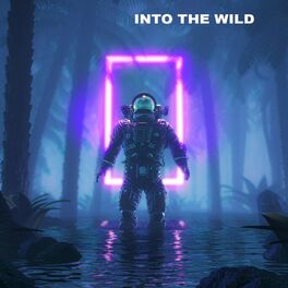 Album cover of Into the Wild