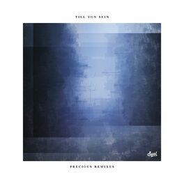 Album cover of Precious Remixes