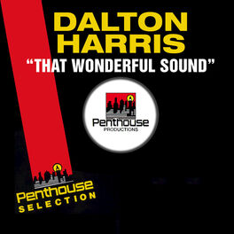 Album cover of That Wonderful Sound