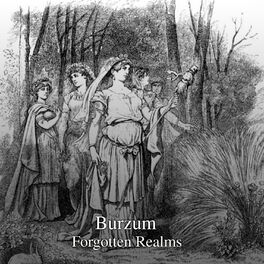 Album cover of Forgotten Realms