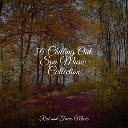 Album cover of 50 Chilling Out Spa Music Collection