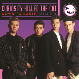 Album cover of Down To Earth The Collection