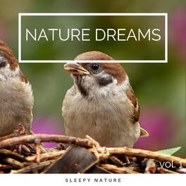 Album cover of 2022 Nature Dreams vol. 1