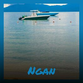 Album cover of Ngan