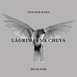Album cover of Lágrimas na Chuva
