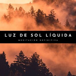 Album cover of Luz De Sol Líquida: Meditación Definitiva