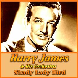 Album cover of Shady Lady Bird