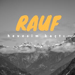 Album cover of Hevesim Kaçtı