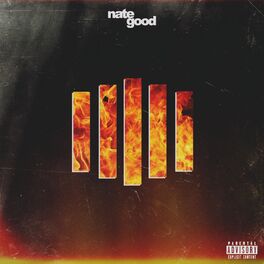 Album cover of Down in Flames
