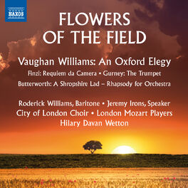 Album cover of Flowers of the Field