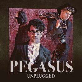 Album cover of Unplugged