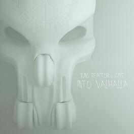 Album cover of Into Valhalla