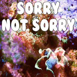 Album cover of Sorry Not Sorry (Tribute to Demi Lovato)