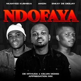 Album cover of Ndofaya (De Mthuda & Kelvin Momo Appreciation Mix)
