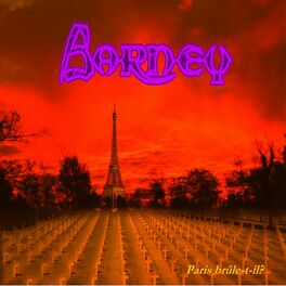 Album cover of Paris Brûle-t-il ?
