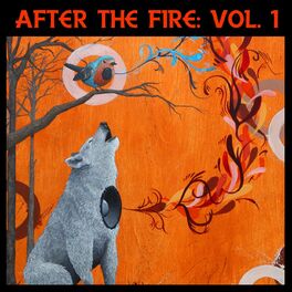 Album cover of After the Fire, Vol. 1