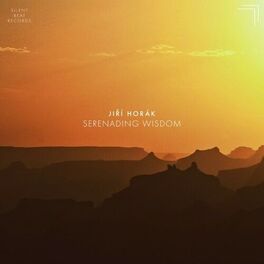 Album cover of Serenading Wisdom