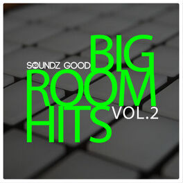 Album cover of Soundz Good Big Room Hits Vol.2