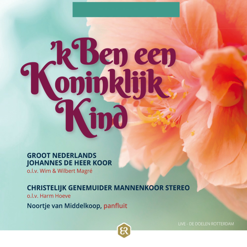 groot nederlands johannes de heer koor - vaste rots van mijn behoud