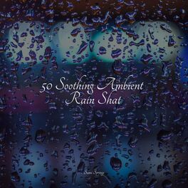 Album cover of 50 Calming Rainfall Sounds