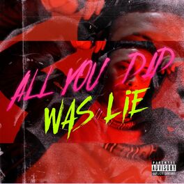 Album cover of ALL YOU DID WAS LIE