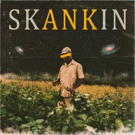 Album cover of Skankin