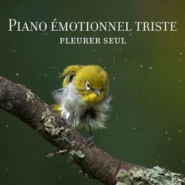 Album cover of Piano émotionnel triste: Pleurer seul, Meilleures pièces de piano mélancoliques, Chanson de piano triste et émotionnelle instrumen