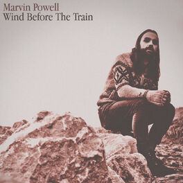Album cover of Wind Before the Train