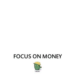 Album cover of Focus on Money