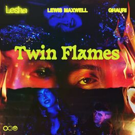 Album cover of Twin Flames