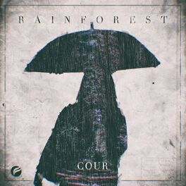 Album cover of Rainforest