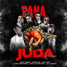 Album cover of Pana Juda (Remix)