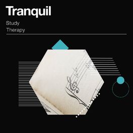 Album cover of zZz Tranquil Study Therapy Album zZz