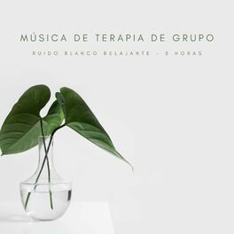 Album cover of Música De Terapia De Grupo: Ruido Blanco Relajante - 3 Horas