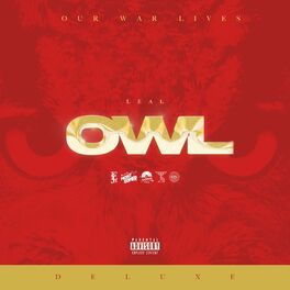 Drake Album Covers Owl