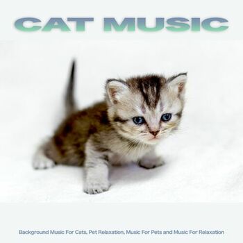 Cat Music Experience - Sleeping Music For Pets and Animals: listen with  lyrics | Deezer