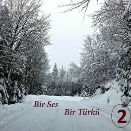 Album cover of Bir Ses Bir Türkü, Vol.2