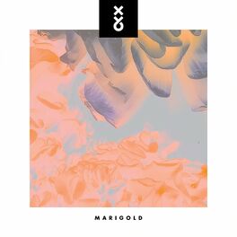 Album cover of Marigold