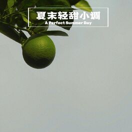 Album cover of 夏末轻甜小调