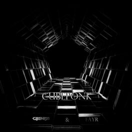 Album cover of Cubeponk