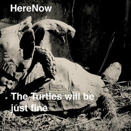 Album picture of The Turtles Will Be Just Fine