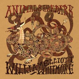 Album cover of Animals In The Dark
