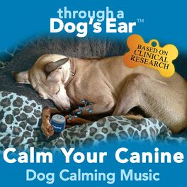 Album cover of Calm Your Canine: Dog Calming Music