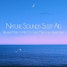 Relaxing Sleep Music Academy: albums, songs, playlists