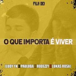 Album cover of O Que Importa É Viver