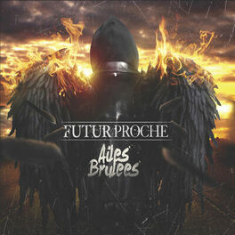 Album cover of Ailes brulées