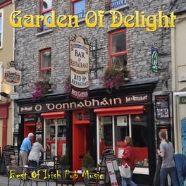 Album cover of Best of Irish Pub Music